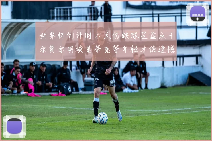 世界杯倒计时六天伤缺球星盘点卡尔费尔明埃基蒂克等年轻才俊遗憾缺席