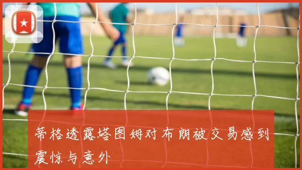 蒂格透露塔图姆对布朗被交易感到震惊与意外